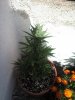 20160617_165647.jpg
