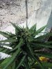 20160617_165703.jpg