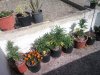 20160617_165712.jpg