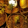 20170127_053207.jpg