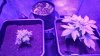 20170129_213232.jpg