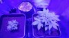 20170201_212914.jpg