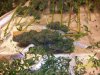 harvest3.JPG
