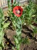 DSCN1143.jpg
