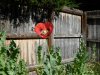 DSCN1141.jpg