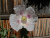 DSCN1180.jpg