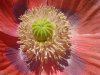 DSCN1178.jpg