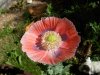 DSCN1176.jpg