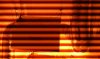 IMAG0082.jpg IMAG0082.jpg