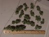 Snowryder #2 095.JPG
