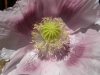 DSCN1194.jpg