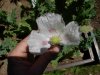 DSCN1193.jpg