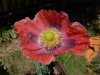 DSCN1192.jpg