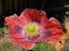 DSCN1190.jpg
