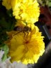 DSCN0806.jpg