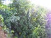 100_5514.jpg