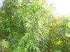 100_5515.jpg