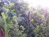 100_5520.jpg