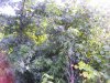 100_5521.jpg