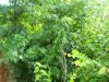 100_5522.jpg