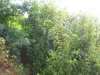 100_5523.jpg
