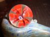 DSC04736.jpg