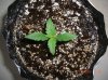 AB_7-22-12 @ DAY 12.JPG