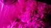2012-07-22_19-50-22_395.jpg