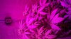 2012-07-22_19-50-28_865.jpg