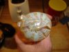 DSC04748.jpg