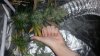 20170206_225605.jpg 20170206_225605.jpg