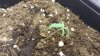 20161210_020231.jpg 20161210_020231.jpg