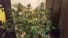 20170207_212401.jpg