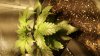 20170213_221536.jpg
