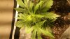 20170213_221539.jpg