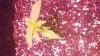 20170214_120710.jpg
