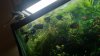 20170209_173849.jpg
