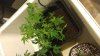 20170220_211151.jpg