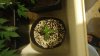 20170220_211159.jpg