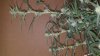 20170222_155252.jpg