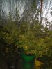 IMG_20170225_202523.jpg