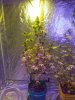 IMG_20170225_140127.jpg