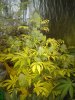 IMG_20170224_200936.jpg