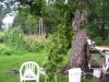 100_5647.jpg