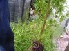 100_5653.jpg