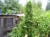 100_5656.jpg