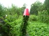 100_5661.jpg