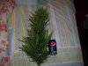 100_5663.jpg