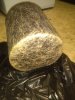 IMG_20170227_185059.jpg