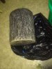 IMG_20170227_185236.jpg
